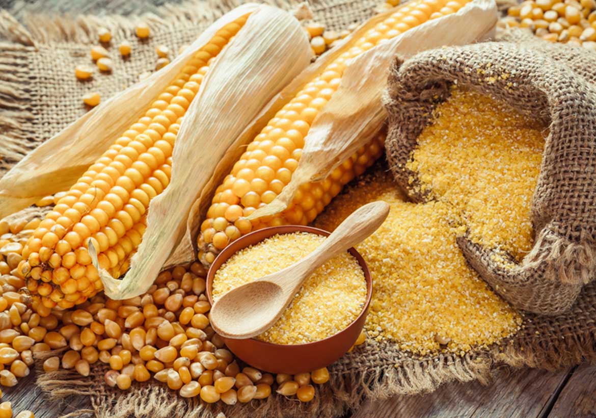 Maize